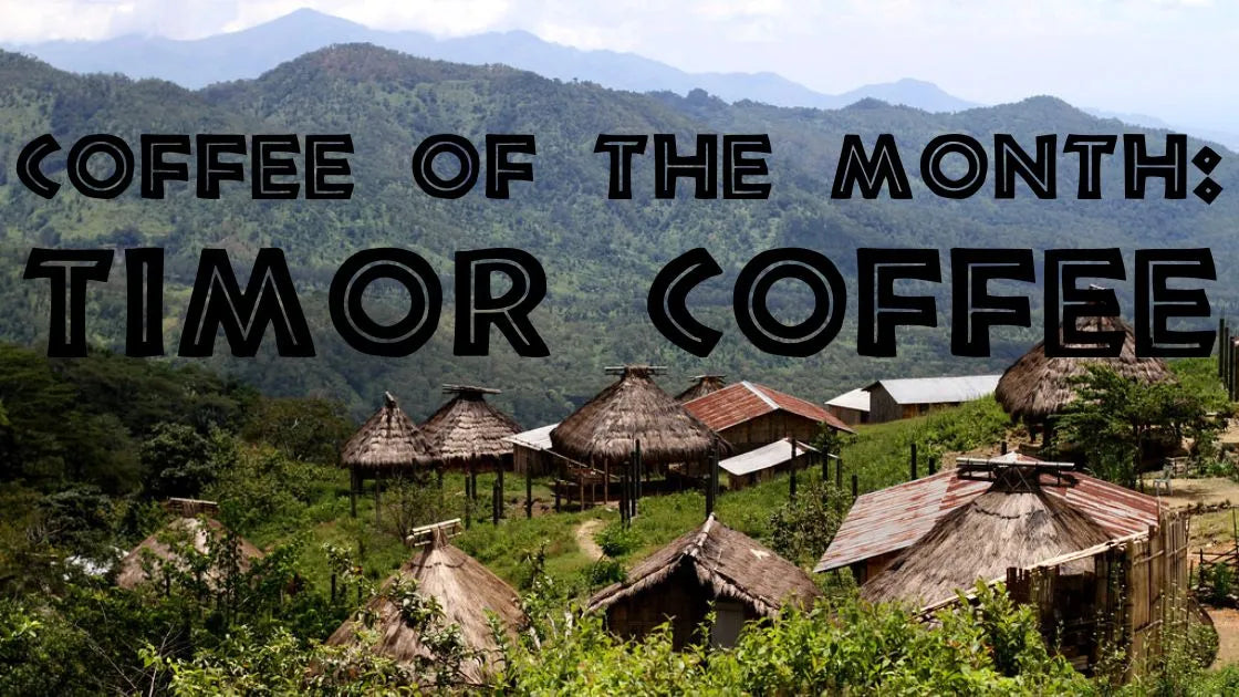 Timor Coffee is our August Monthly Special