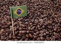 Brazilian Arabica (Medium)